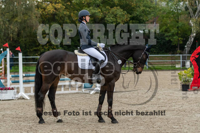 Goldene Schärpe 2020 - Pferde