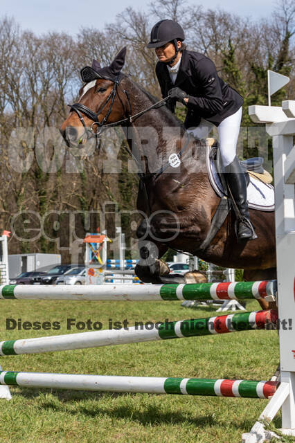 Frühjahrsvielseitigkeit RV Seydlitz Kamp