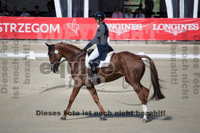 FEI European Championship Eventing 2017
