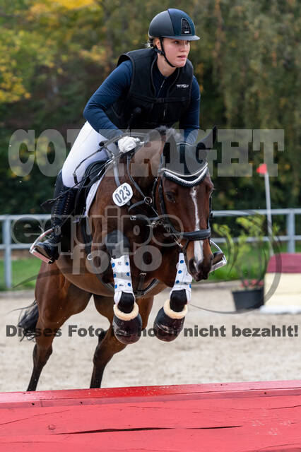 Goldene Schärpe 2020 - Pferde