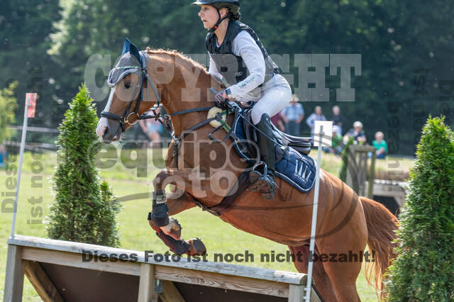 Goldene Schärpe 2021 - Ponys