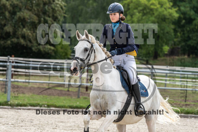 Late-Entry-Vielseitigkeit Langenfeld (06.+07.07.2020)