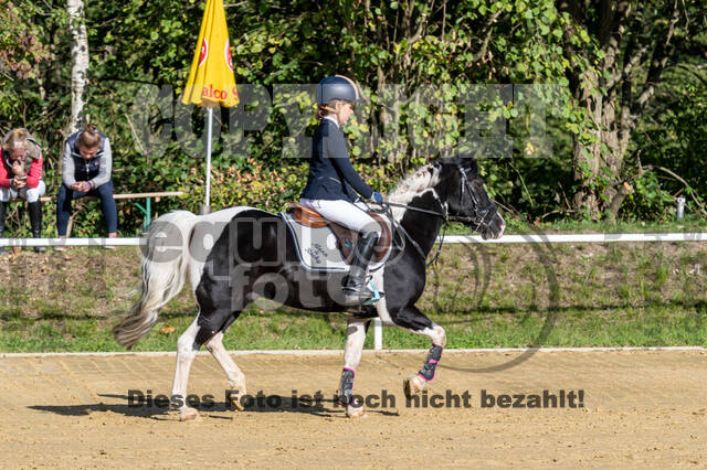 RFV Dinslaken-Hiesfeld (Herbstturnier)