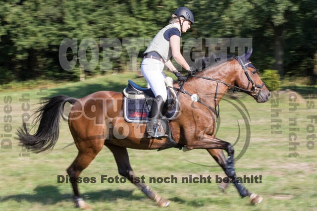 Vielseitigkeitsturnier RSV St. Hubertus Wesel Obrighoven