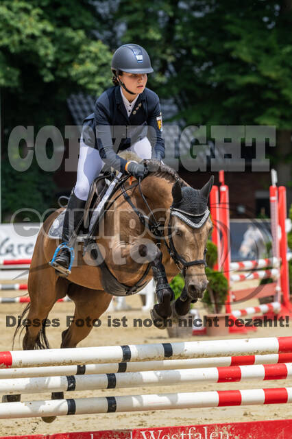 Goldene Schärpe 2021 - Ponys