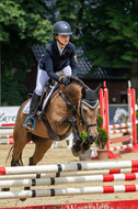 Goldene Schärpe 2021 - Ponys