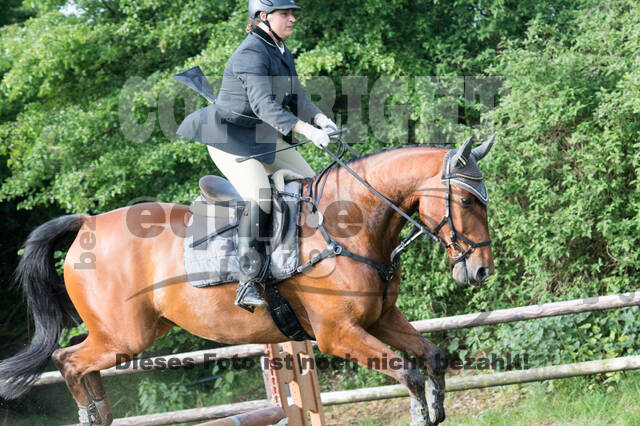 Vielseitigkeitsturnier ZRuFV von Lützow Hamminkeln