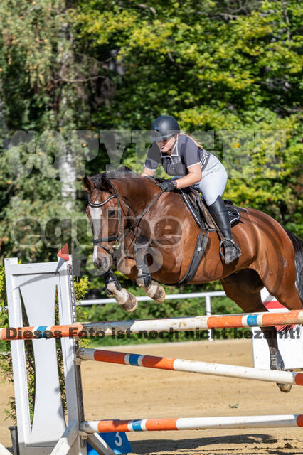 RFV Dinslaken-Hiesfeld (Herbstturnier)