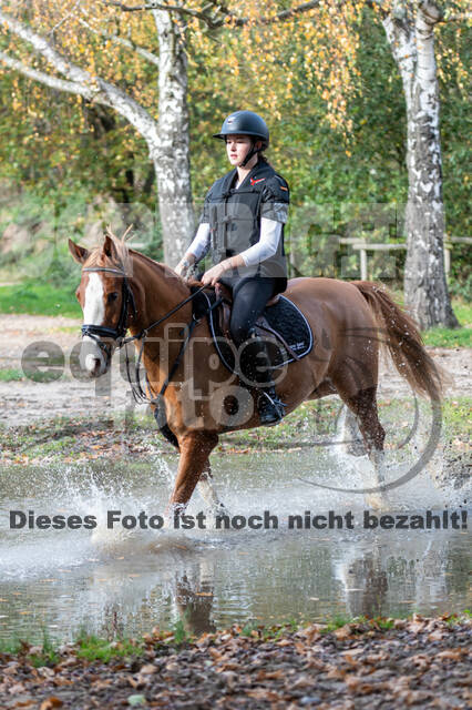 IGV Lehrgang der Sieger der Cups mit Frank Ostholt