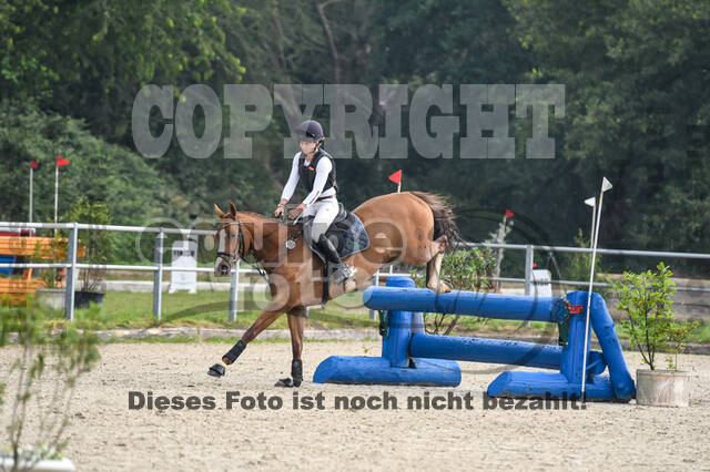 Late-Entry-Vielseitigkeit Langenfeld (11.+13./14.06.2020)
