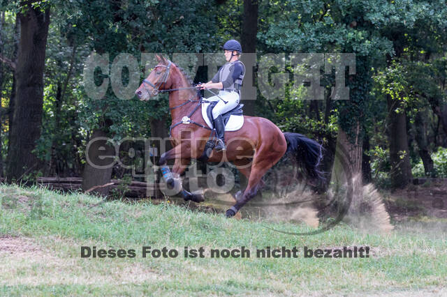 Late-Entry Vielseitigkeit Hamminkeln/Wesel (01.+02.08.2020)