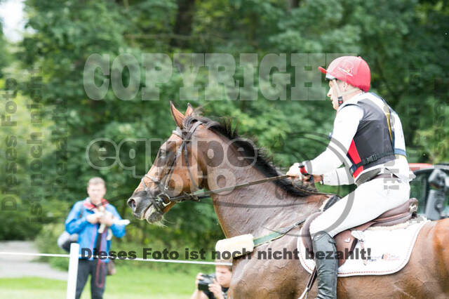 FEI European Championship Eventing 2017