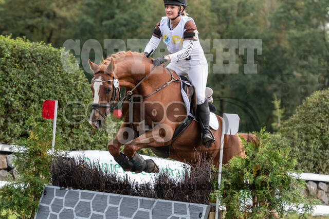 Vielseitigkeit RSV Wesel Obrighoven (26.+27.09.2020)