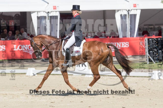 FEI European Championship Eventing 2017