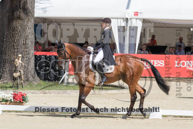 FEI European Championship Eventing 2017