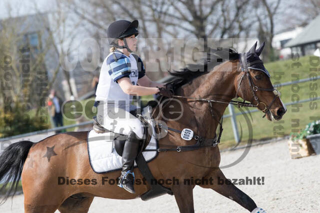 Eventing Langenfeld 2018