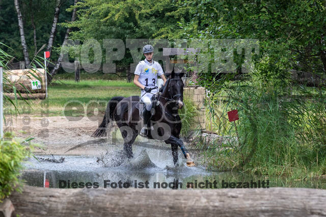 Late-Entry Vielseitigkeit Hamminkeln/Wesel (01.+02.08.2020)