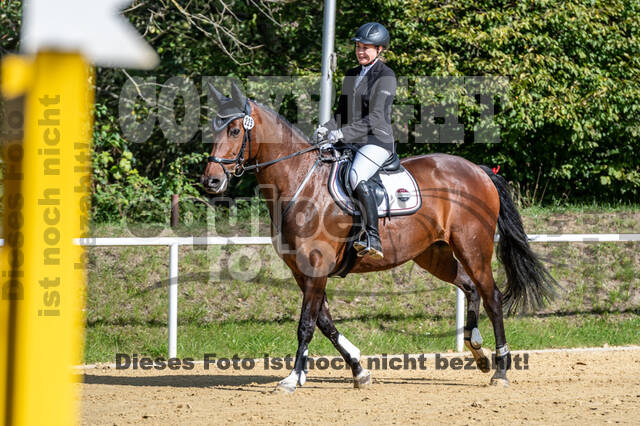RFV Dinslaken-Hiesfeld (Herbstturnier)