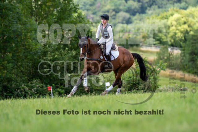 Bonn-Rodderberg Late-Entry-Vielseitigkeit (30.06.2020)