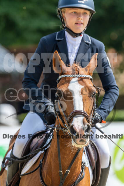Goldene Schärpe 2021 - Ponys