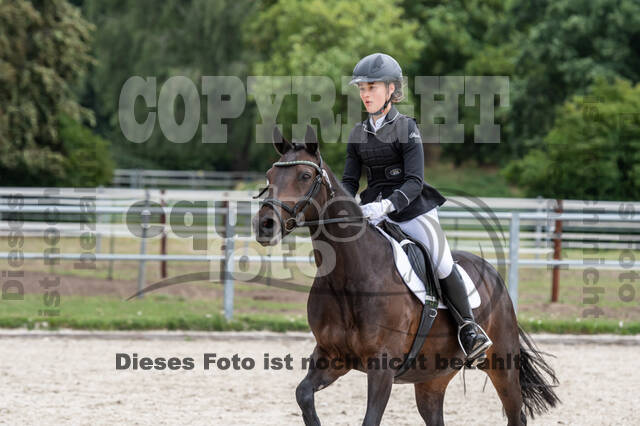 Late-Entry-Vielseitigkeit Langenfeld (06.+07.07.2020)