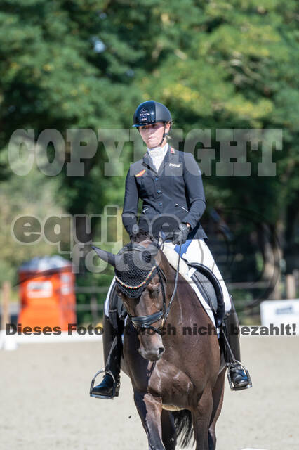 Kronenberg - De Peelbergen (August 2020)