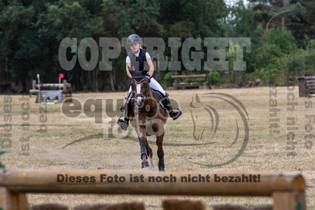 Late-Entry Vielseitigkeit Hamminkeln/Wesel (01.+02.08.2020)