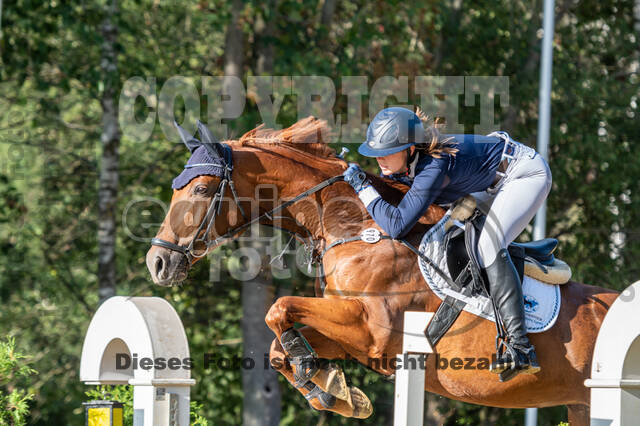 RFV Dinslaken-Hiesfeld (Herbstturnier)
