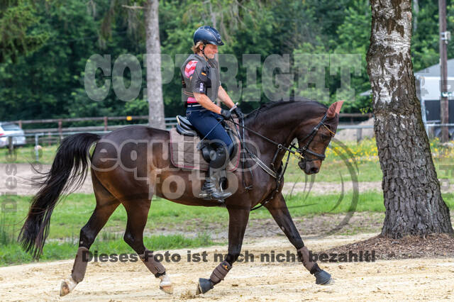 Hunter Geländetraining 10.07.2021 (Sonsbeck)