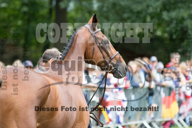 FEI European Championship Eventing 2017