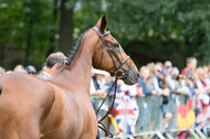 FEI European Championship Eventing 2017
