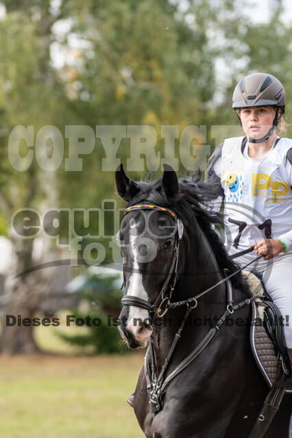 Vielseitigkeit RSV Wesel Obrighoven (26.+27.09.2020)