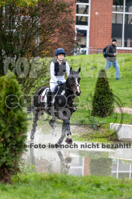 Goldene Schärpe 2020 - Pferde