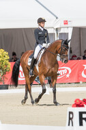 FEI European Championship Eventing 2017