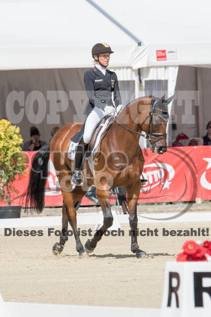 FEI European Championship Eventing 2017
