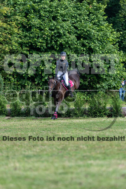 Goldene Schärpe 2021 - Ponys