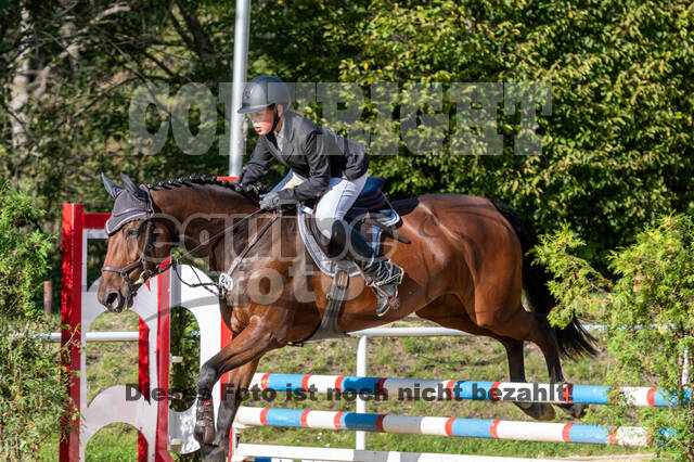 RFV Dinslaken-Hiesfeld (Herbstturnier)