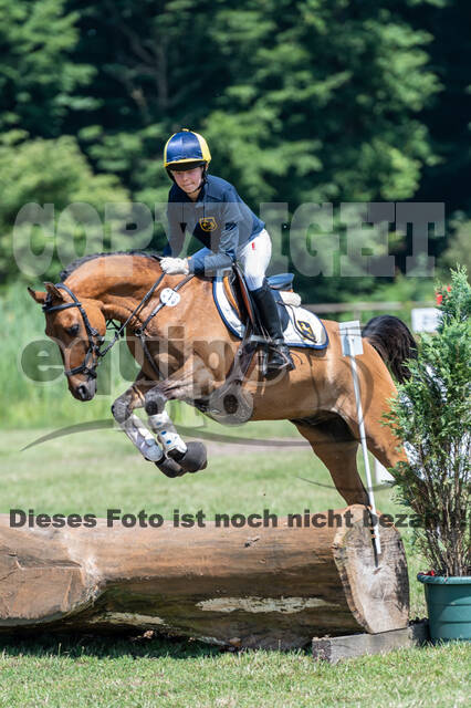 Goldene Schärpe 2021 - Ponys