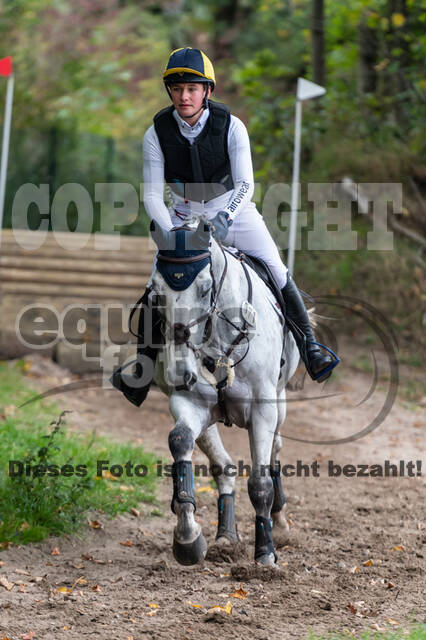 Goldene Schärpe 2020 - Pferde