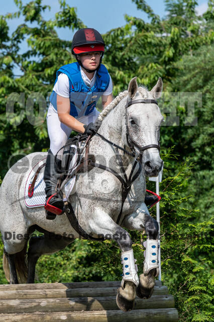 Goldene Schärpe 2021 - Ponys