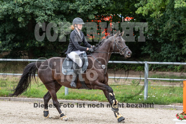 Late-Entry-Vielseitigkeit Langenfeld (06.+07.07.2020)