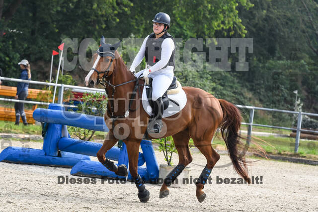 Late-Entry-Vielseitigkeit Langenfeld (11.+13./14.06.2020)
