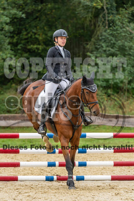 Vielseitigkeit RSV Wesel Obrighoven (26.+27.09.2020)