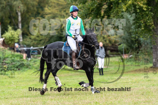 Vielseitigkeit RSV Wesel Obrighoven (26.+27.09.2020)