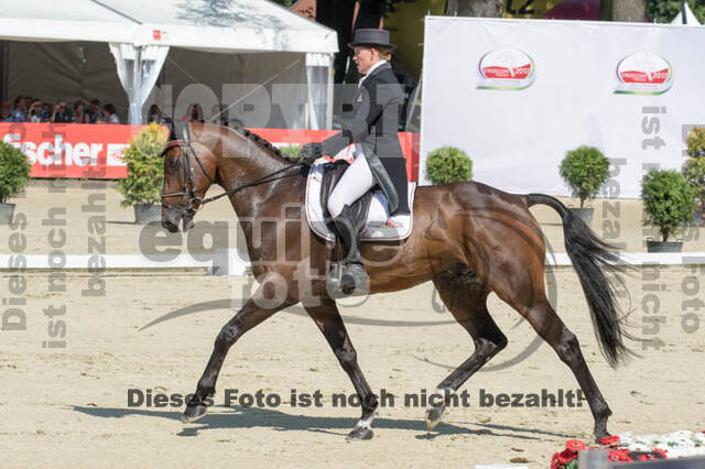 FEI European Championship Eventing 2017