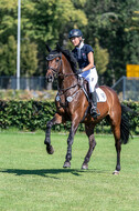 Kronenberg - De Peelbergen (August 2020)