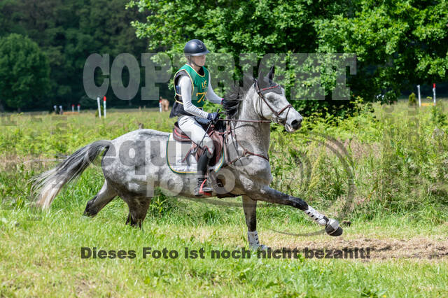 Westerstede Horse Trials (10.-13.06.2021)