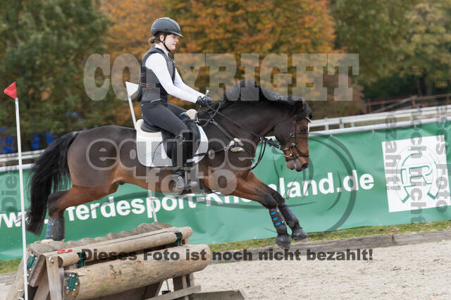 IGV Lehrgang der Sieger der Cups mit Frank Ostholt