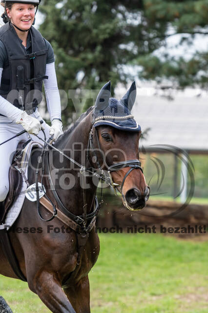 Goldene Schärpe 2020 - Pferde