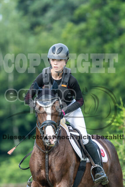 Goldene Schärpe 2021 - Ponys